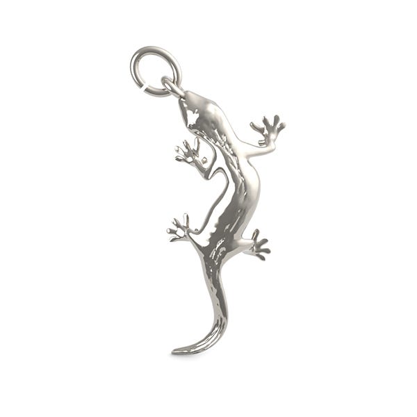 Lizard Charm
