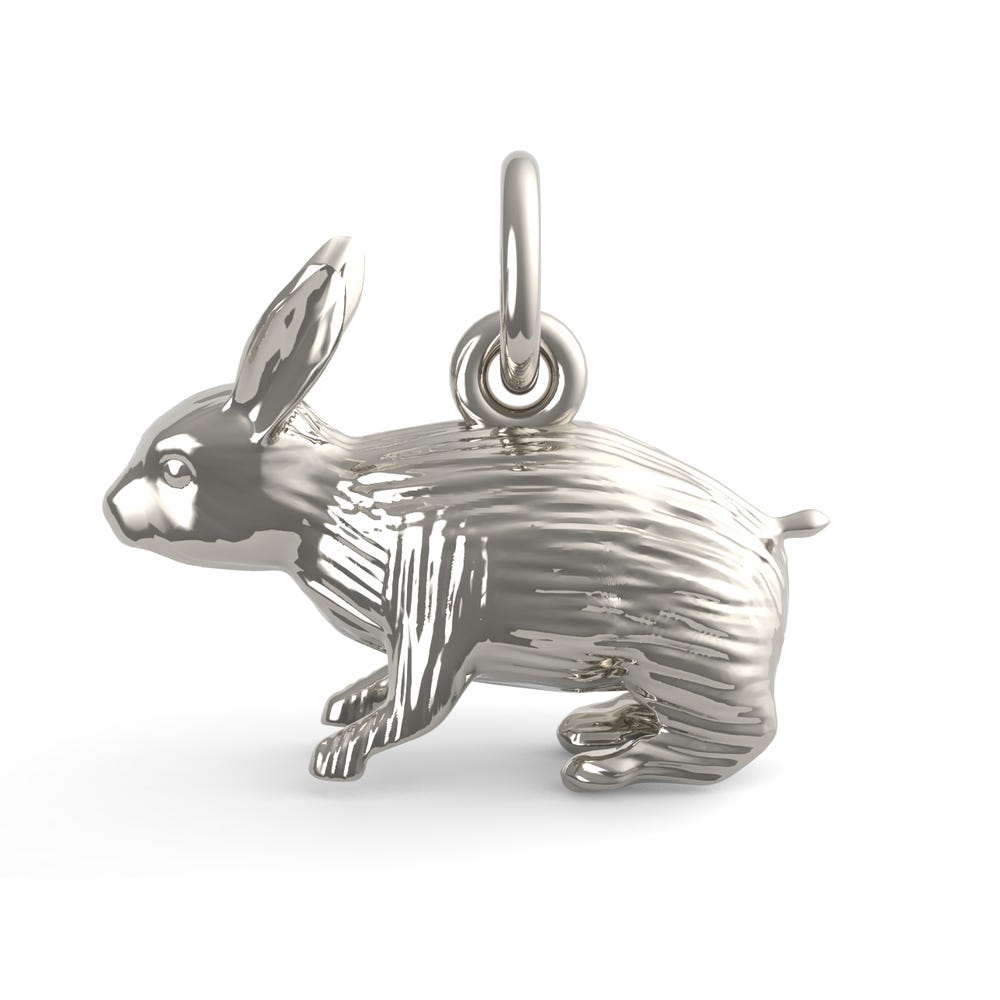 Rabbit Charm
