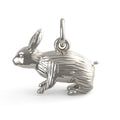 Rabbit Charm