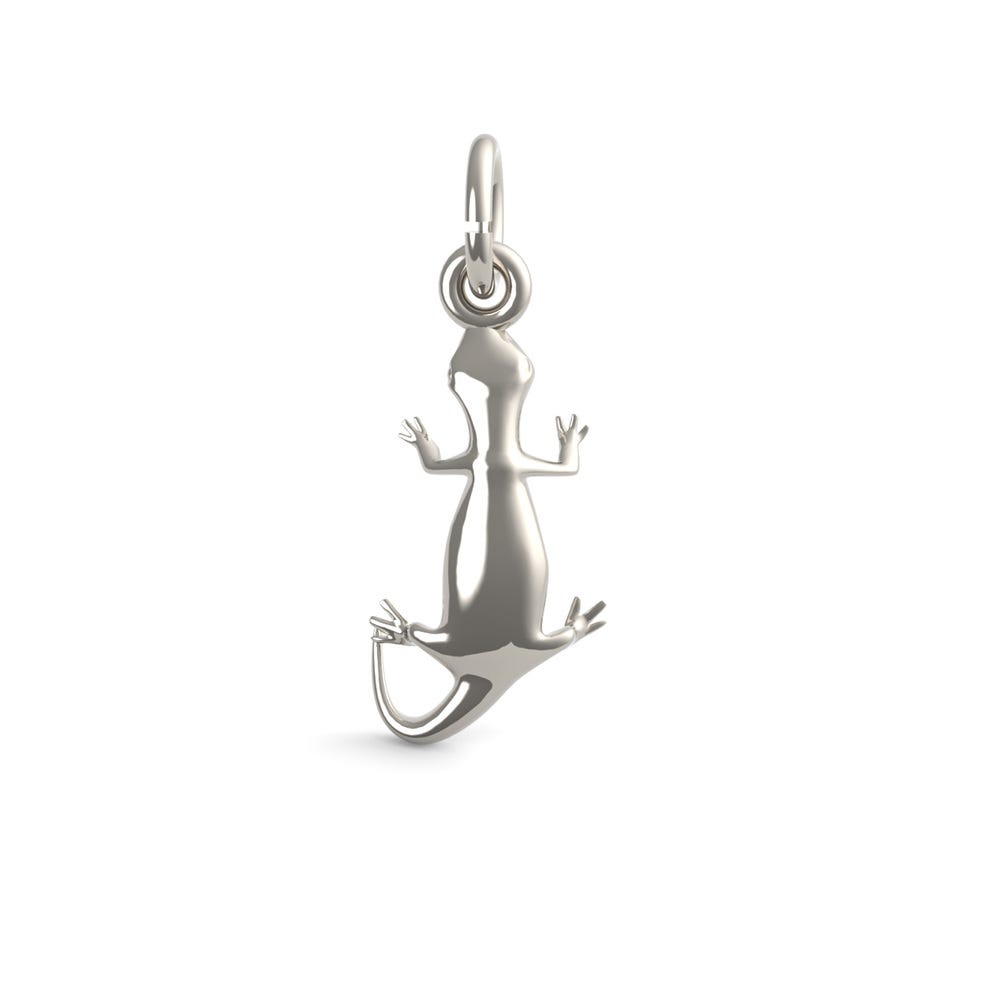 Gecko Charm