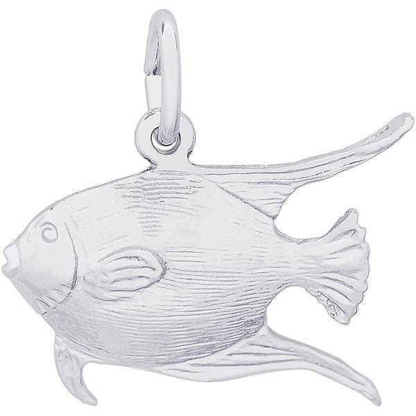 Fish Angelfish