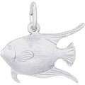 Fish Angelfish