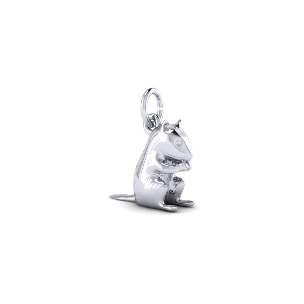 Chipmunk Charm