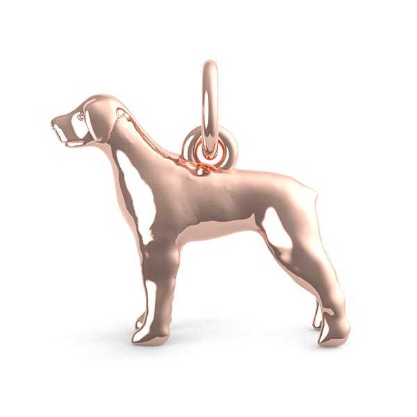 Rottweiler Dog Charm