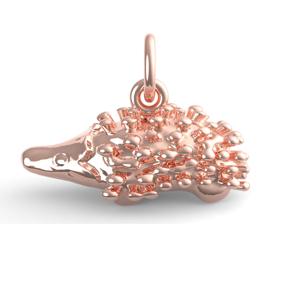 Porcupine Charm