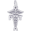 PT Assistant