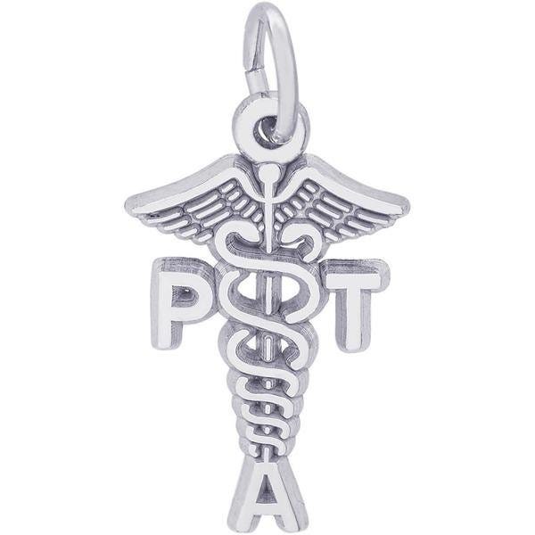 PT Assistant