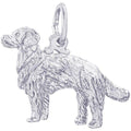 Dog Golden Retriever