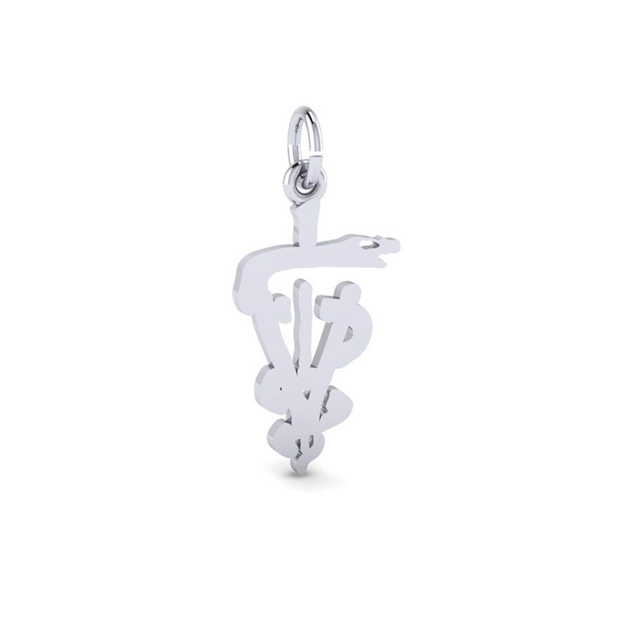 7934-Silver-Veterinarian