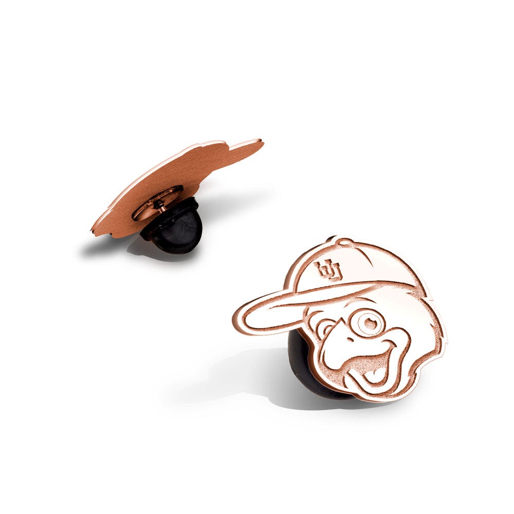 Swoop the Red-Tailed Hawk Pin