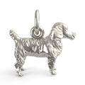 Jack Russell Terrier Dog