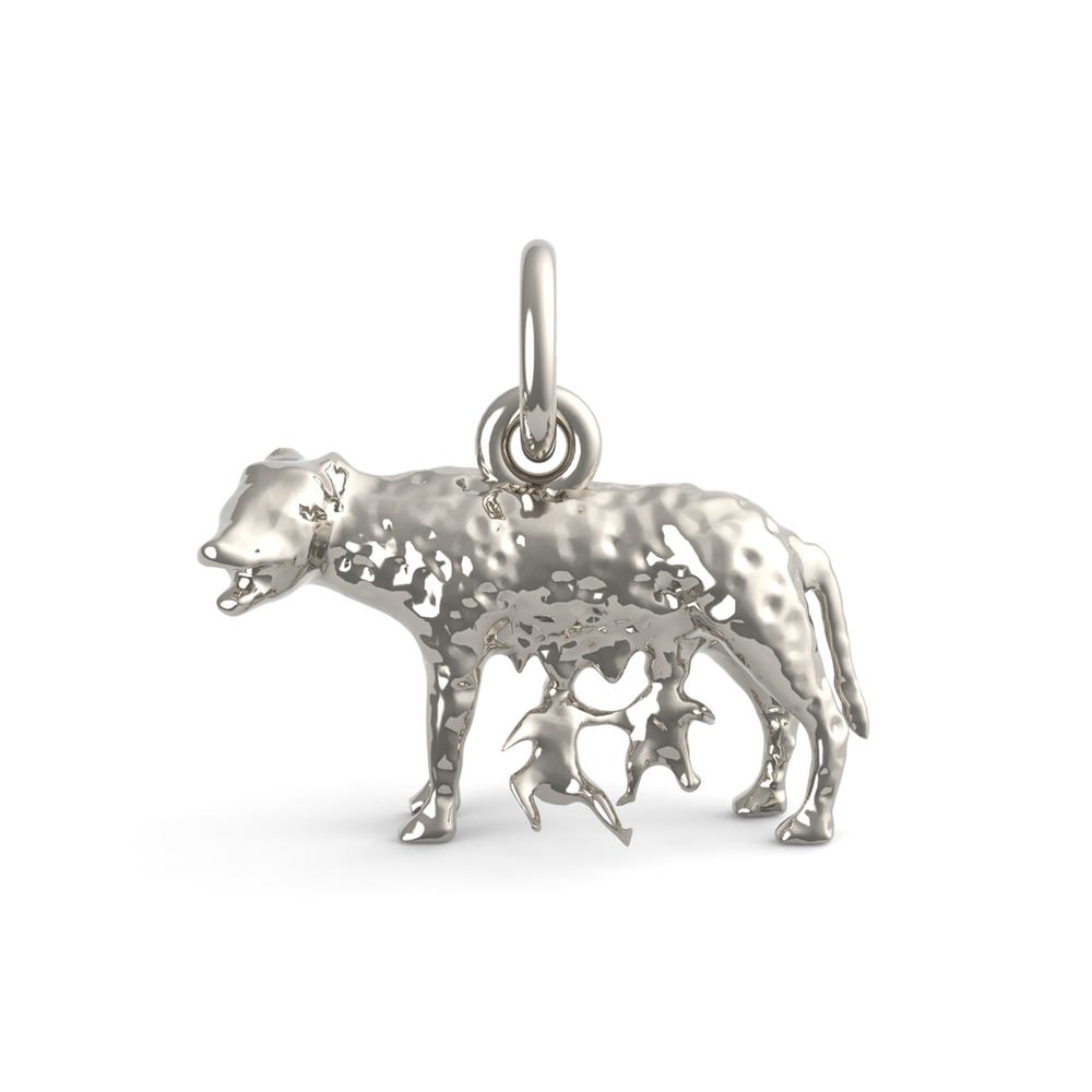 Romulus &' Remus Charm