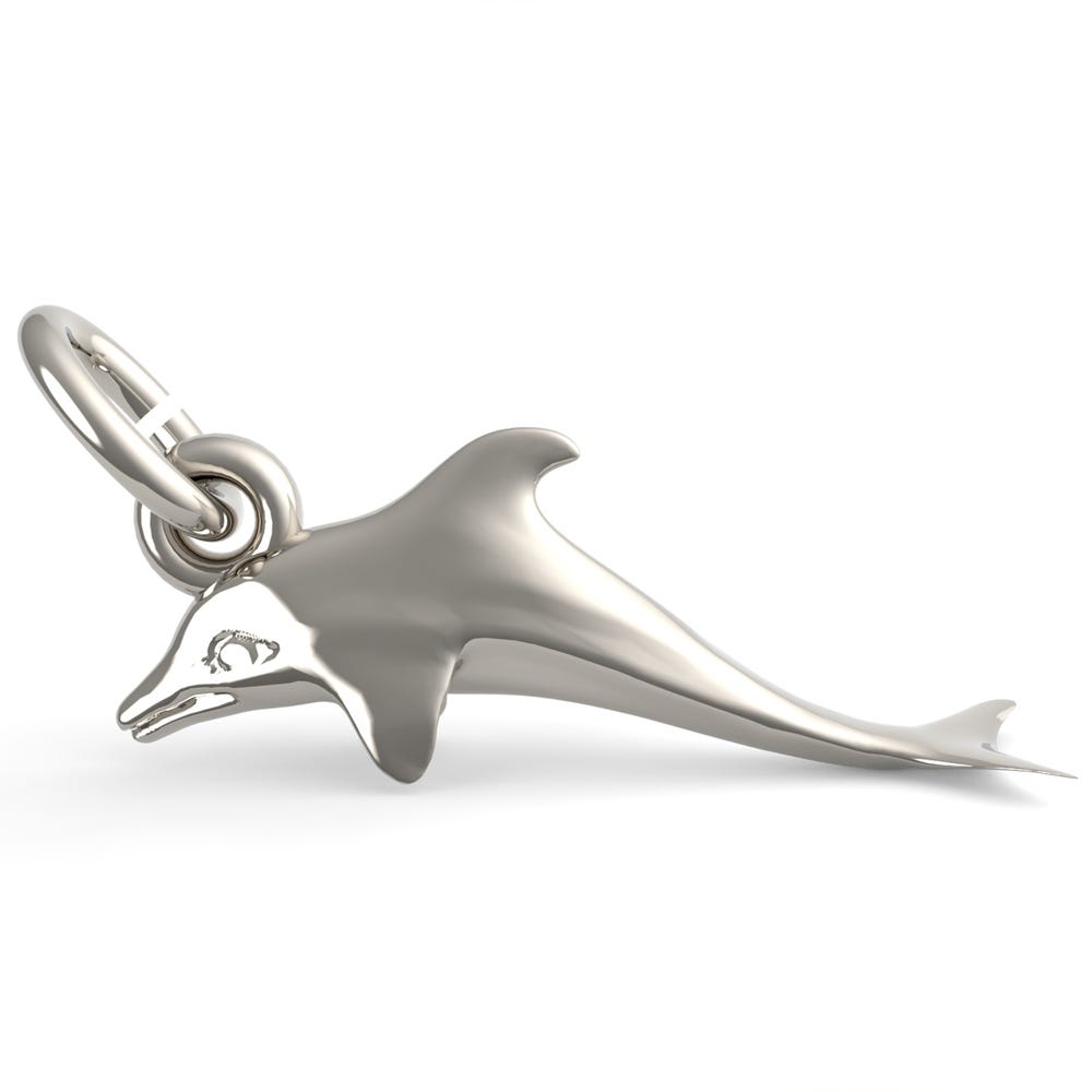 Dolphin Charm(1622)