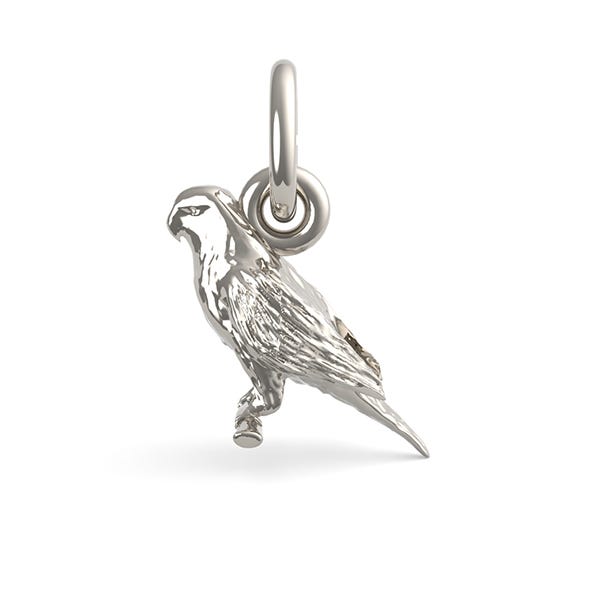 Parakeet Charm