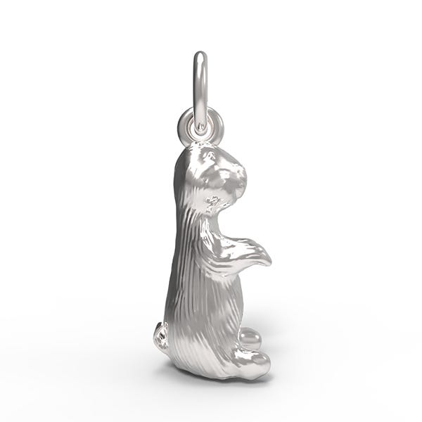 Groundhog Charm
