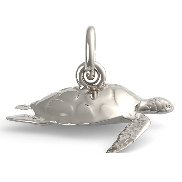 Sea Turtle