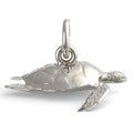 Sea Turtle