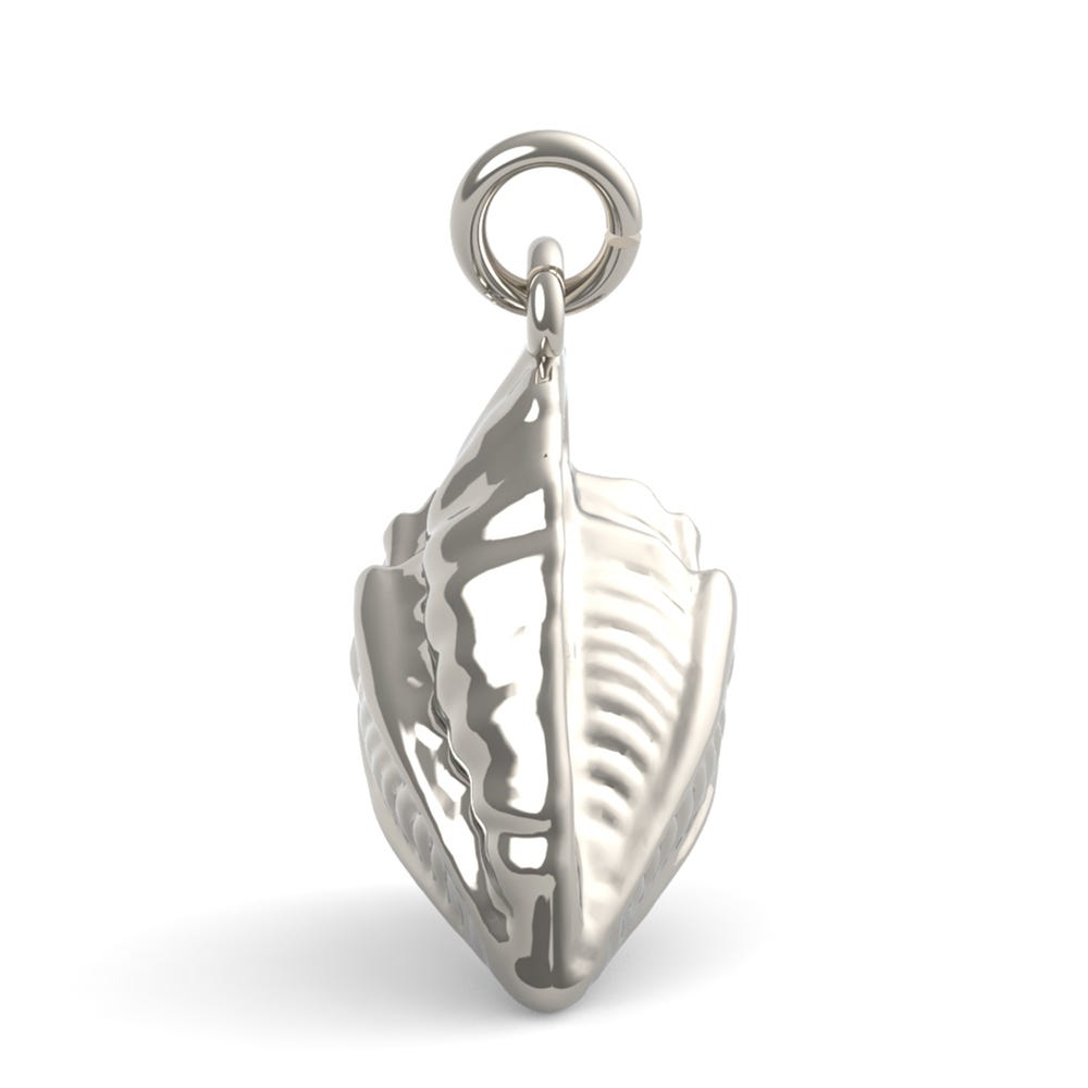 Conch Shell