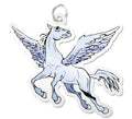 PegasusCharm