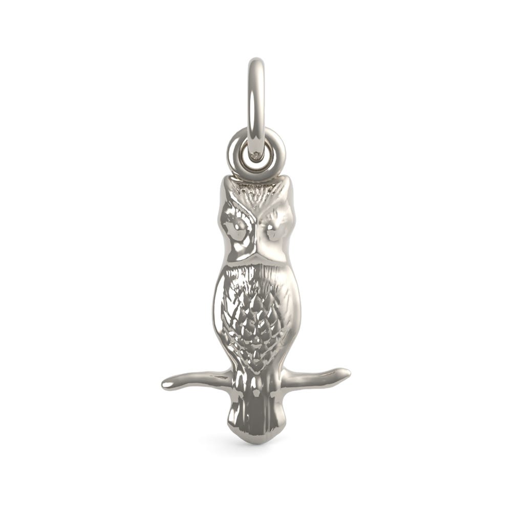 Long Eared Owl Charm