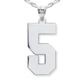 High Polished Single Digit Number Charm or Pendant