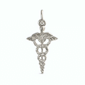 Caduceus Charm(0183)