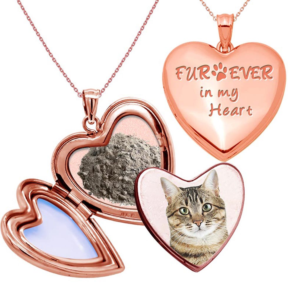 Furever in my Heart Cremation & Hair Photo Locket
