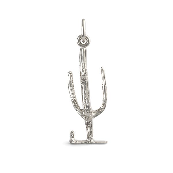 Cactus Charm(1576)