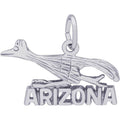 Arizona Road Runner