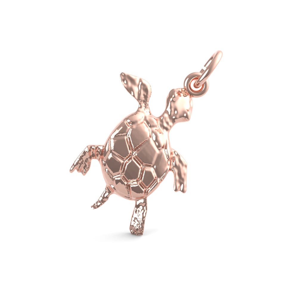 Turtle with Stones Charm