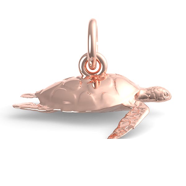 Sea Turtle