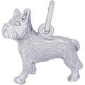 French Bulldog Charm