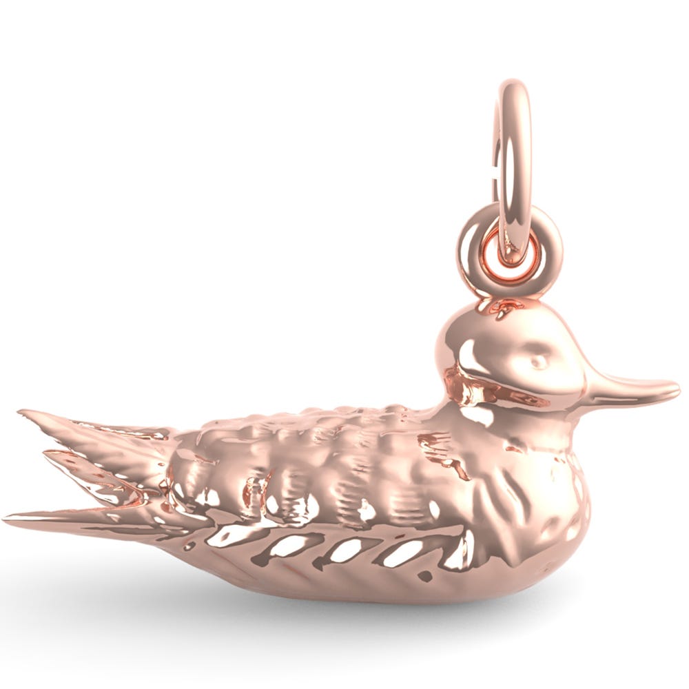 Duck Charm(6598)