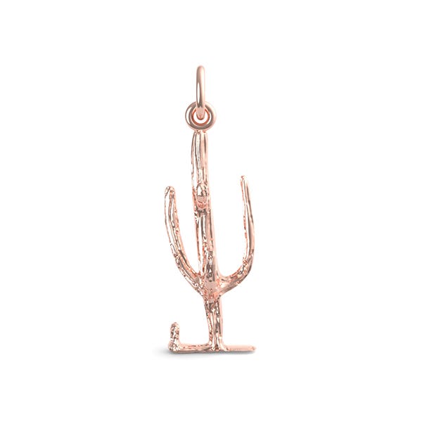 Cactus Charm(1576)
