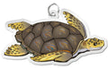 Sea Turtle Charm