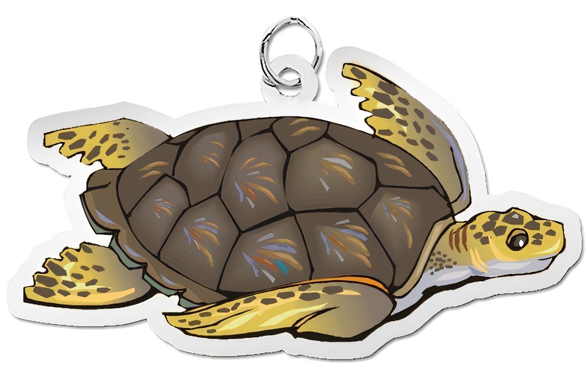 Sea Turtle Charm