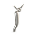 Chili Pepper Charm 3488