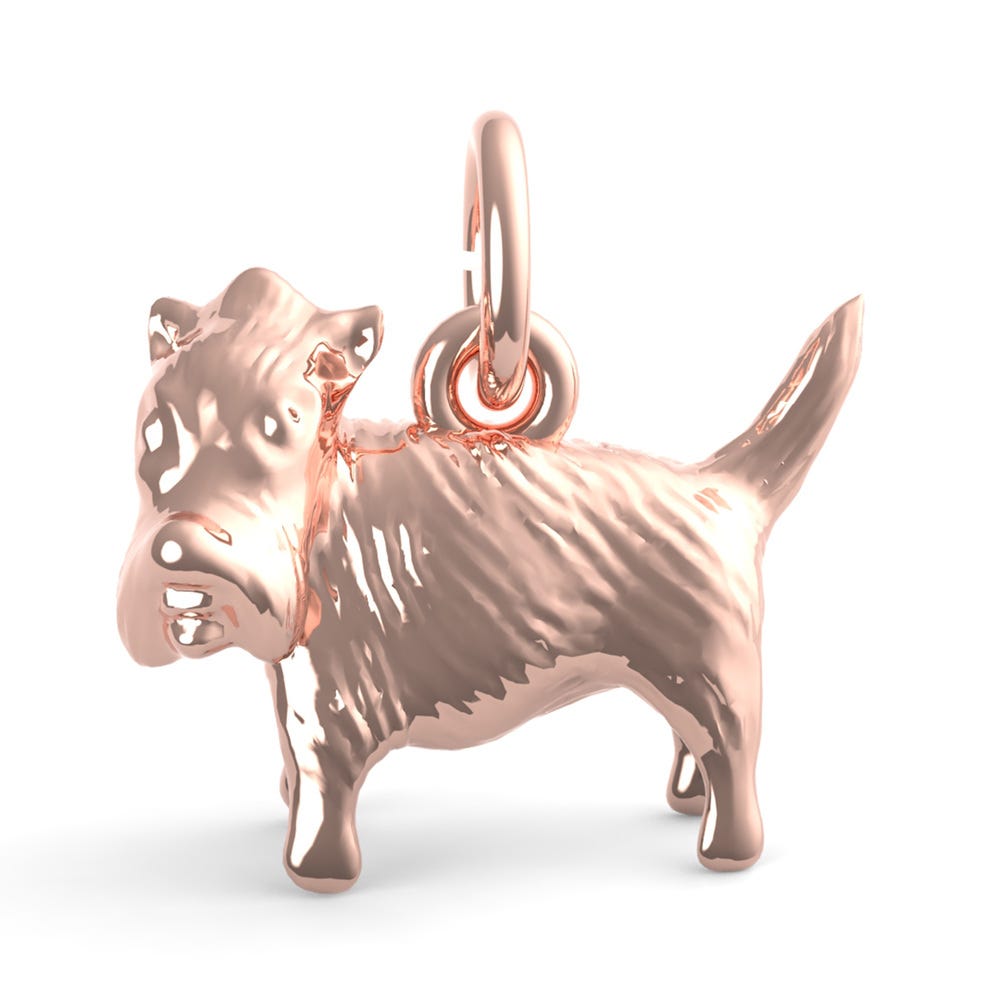 Yorkshire Terrier Dog Charm