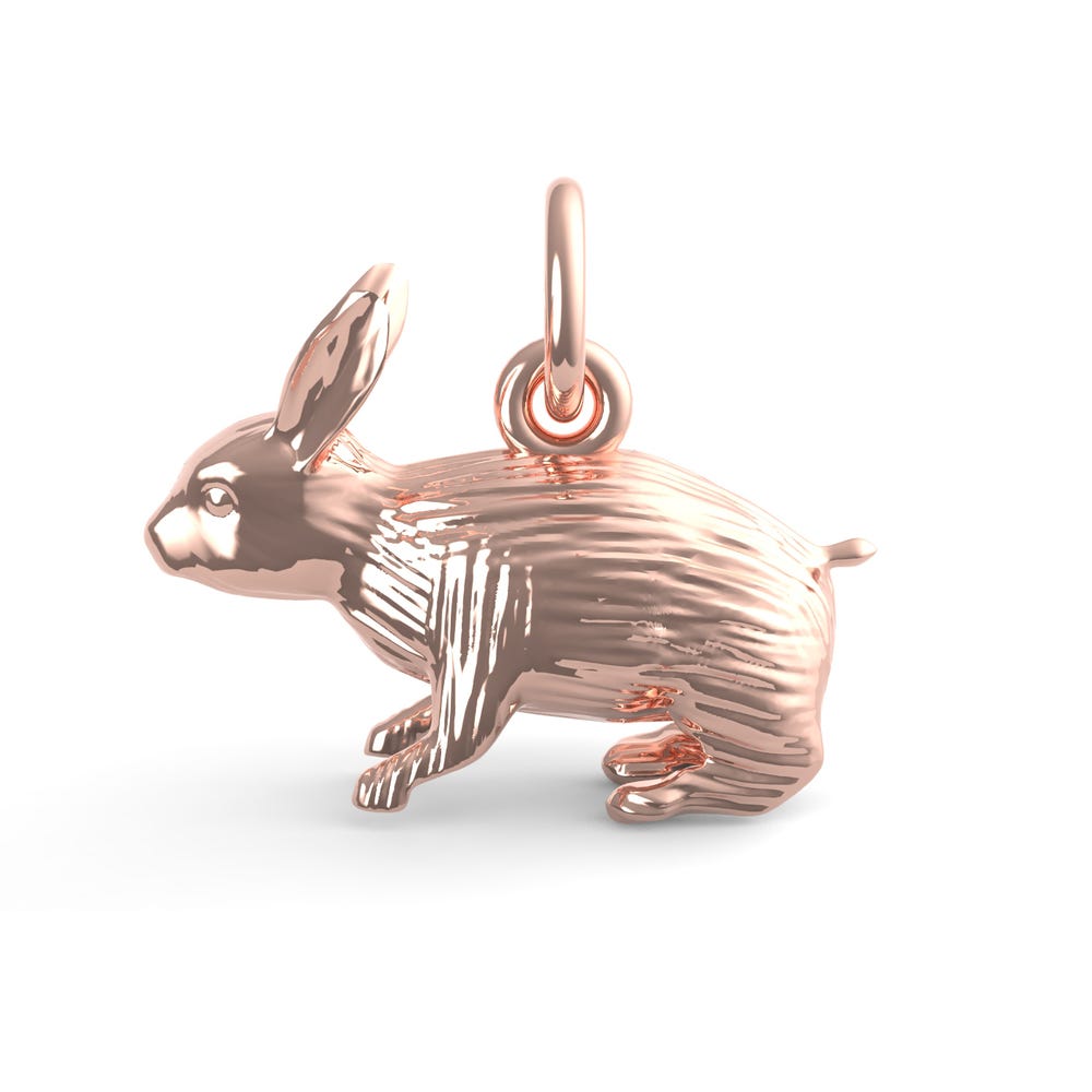 Rabbit Charm