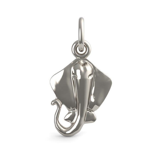 Sting Ray Charm
