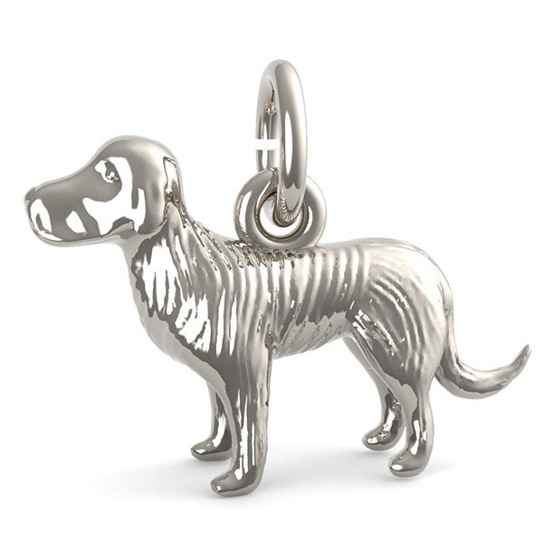 St. Bernard Dog Charm