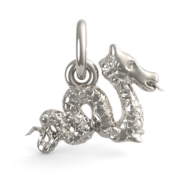 Serpent Dragon Charm