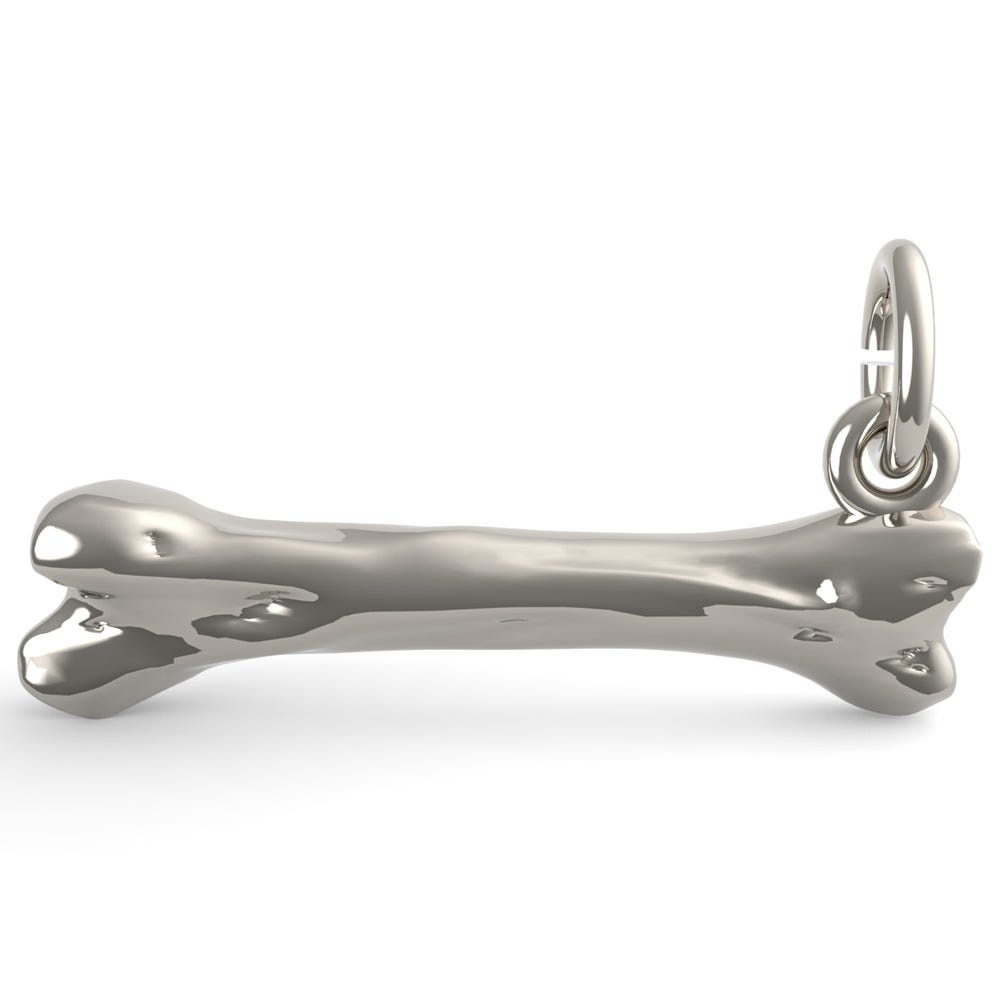 Dog Bone Charm