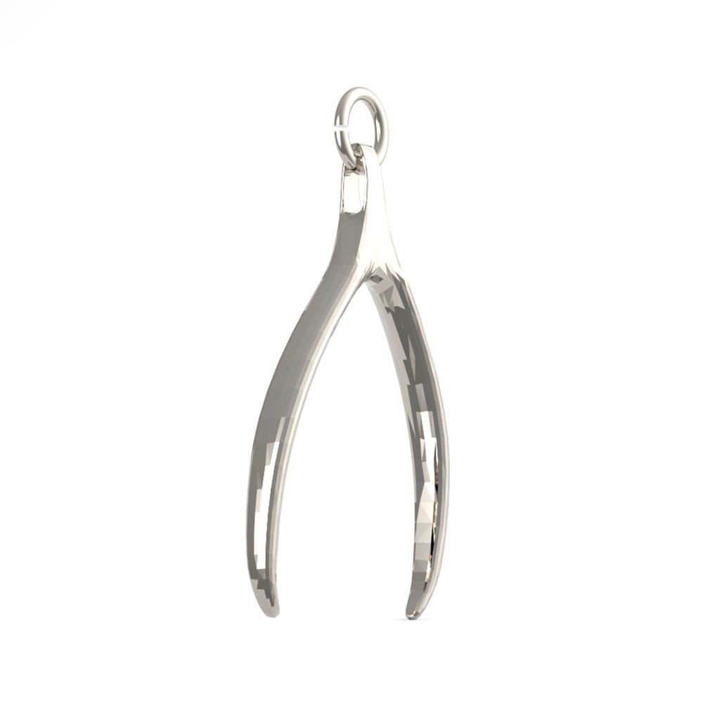 Wishbone Charm