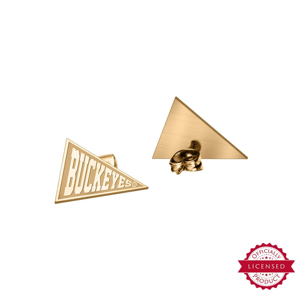 Pair Of Buckeyes Flag Earrings