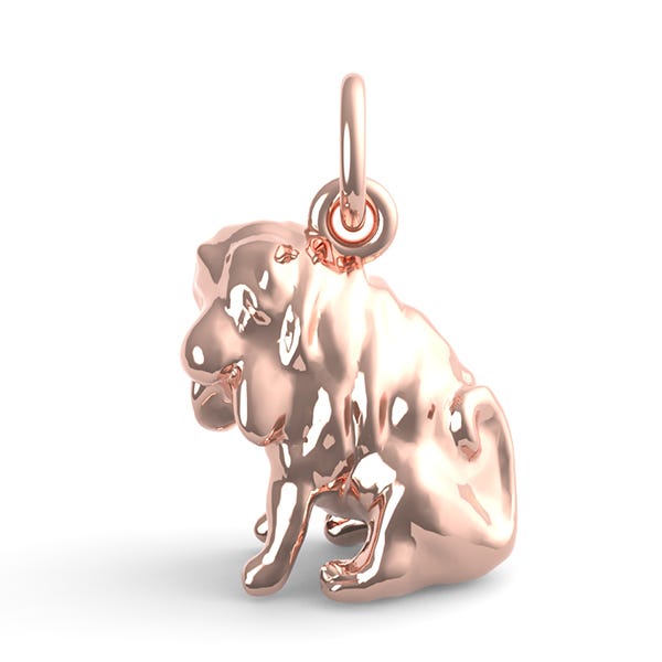 Shar Pei Dog Charm
