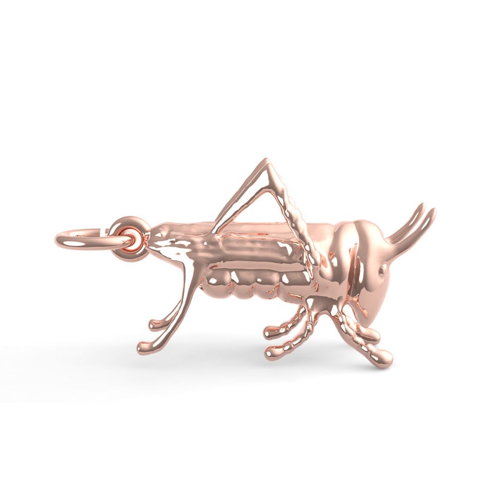 Grasshopper Charm