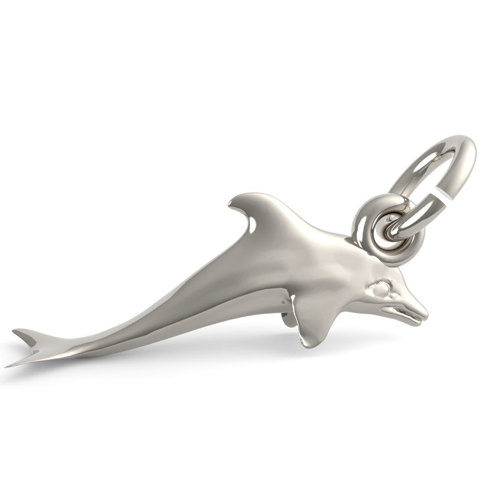 Dolphin Accent Charm (5585)