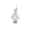 Flat Penguin Charm