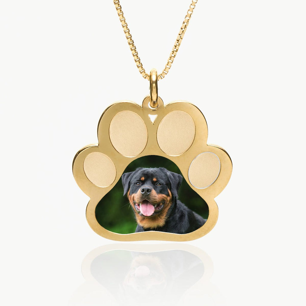 Stainless Steel Photo Engraved Paw Print Pendant With Chain